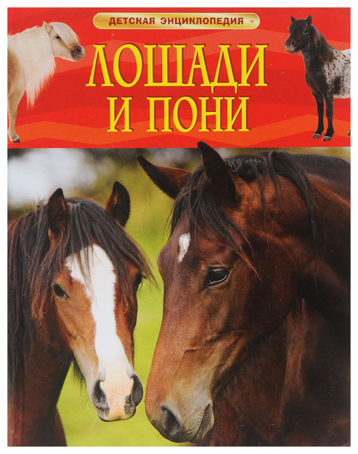 

Лошади и пони