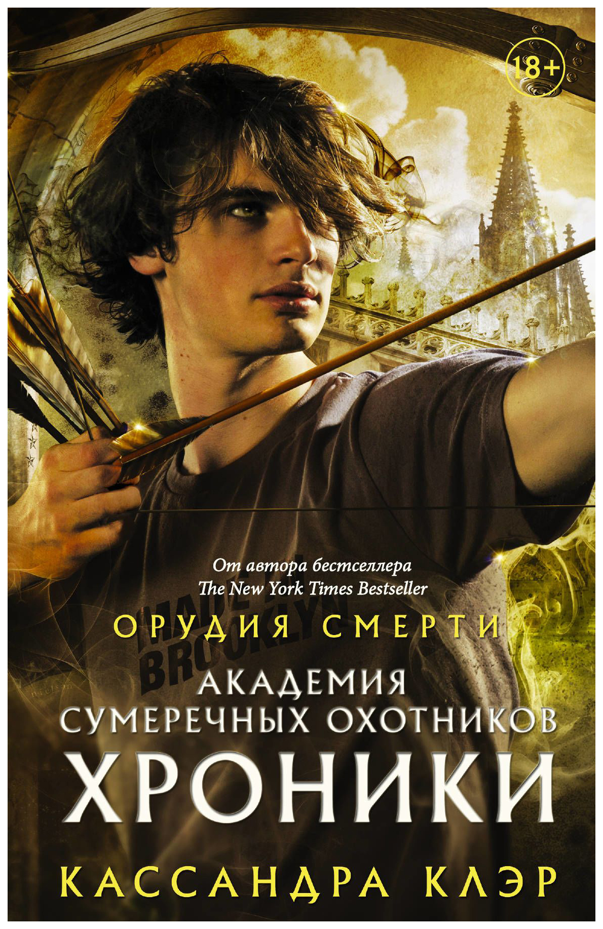 

Книга Академия Сумеречных Охотников. Хроники