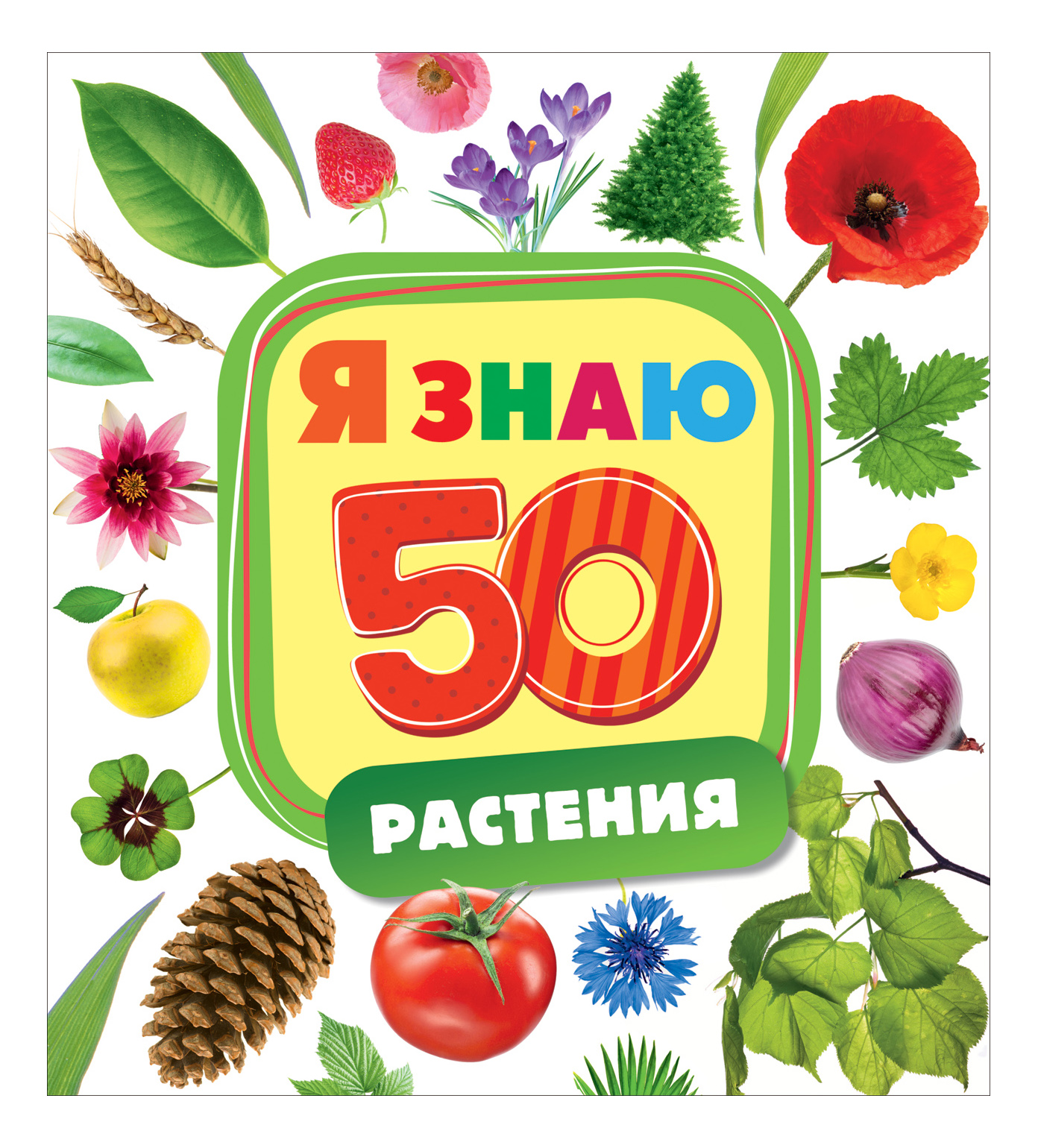 

Я Знаю. Растения. Н. Малофеева, Растения