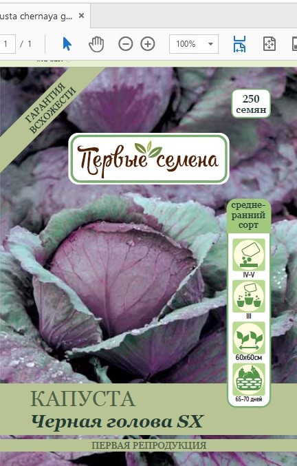 

Семена овощей Первые семена Капуста к/к Черная голова SX, 1 г