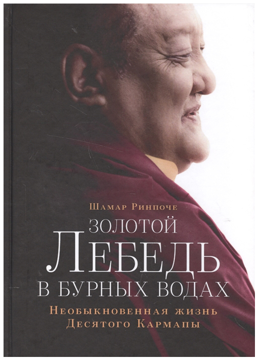 фото Книга золотой лебедь в бурных водах ориенталия