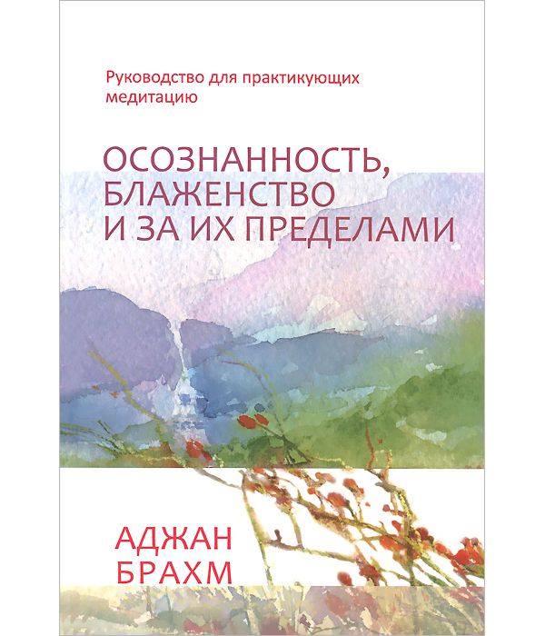 

Осознанность, Блаженство и За Их пределами