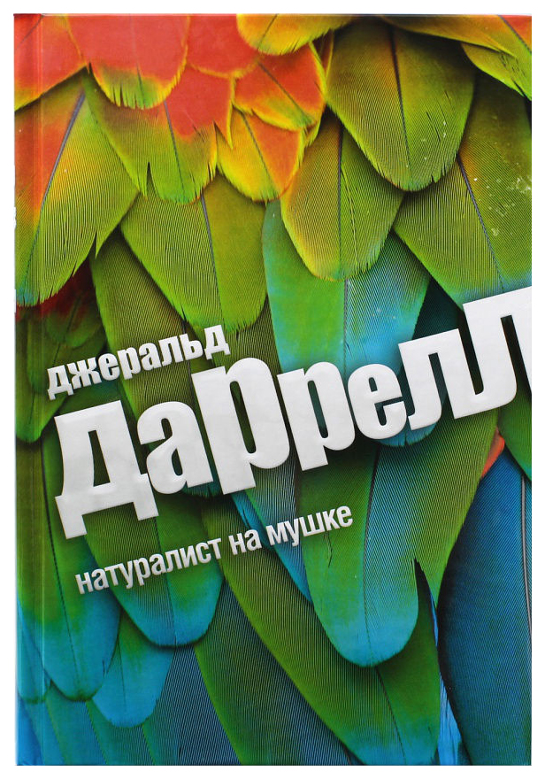 фото Книга натуралист на мушке амфора