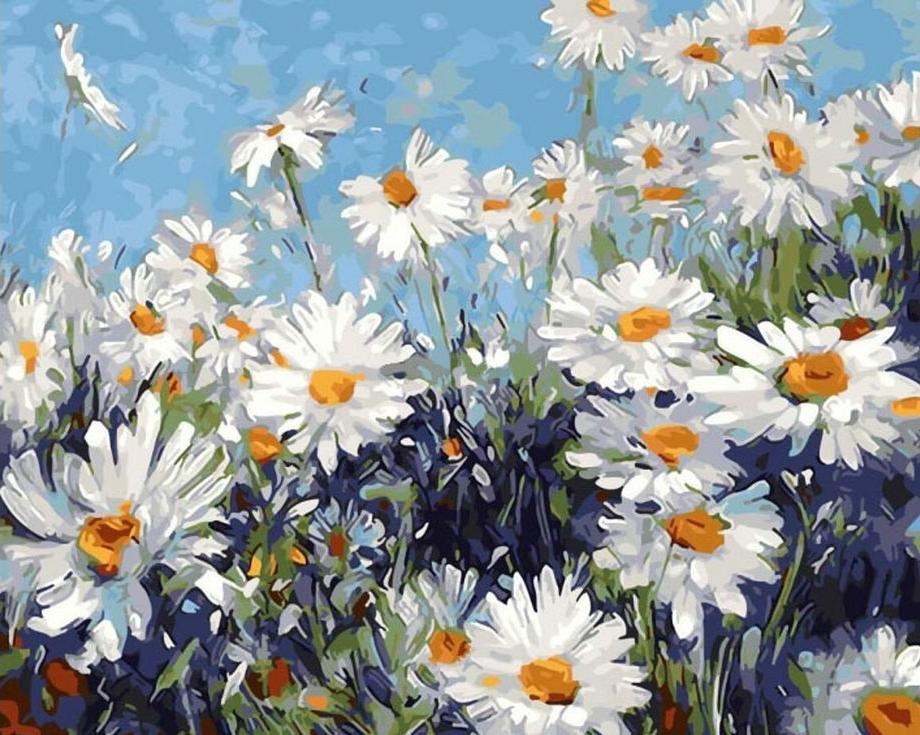 

Картина по номерам Paintboy Ромашки, 40x50 см, Ромашки