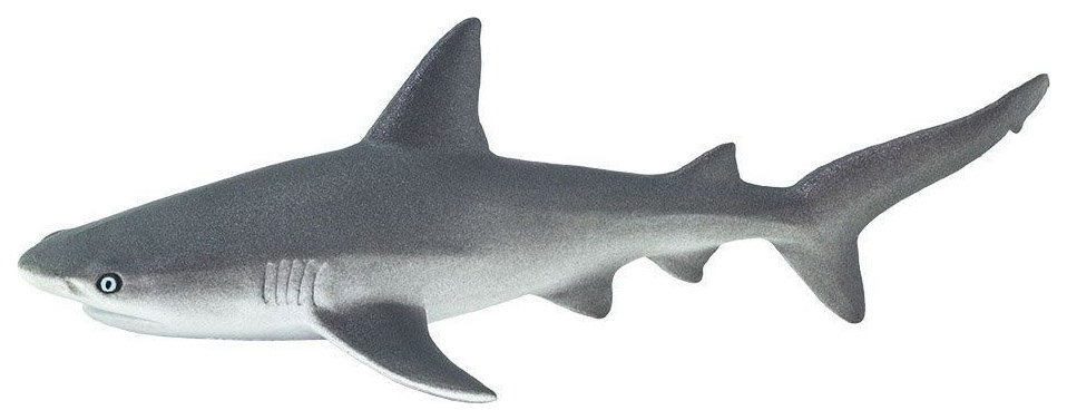 фото Фигурка safari ltd серая рифовая акула