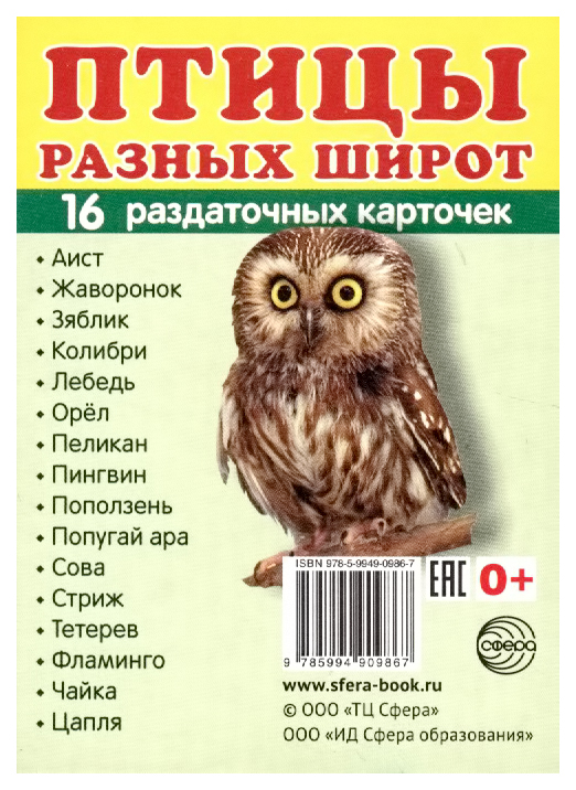 

Демонстрационные картинки Сфера тц птицы Разных Широт 16 Раздаточных карточек С текстом