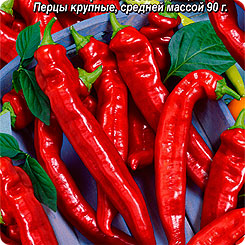 

Семена Перец острый Карабас Барабас, 0,3 г, АЭЛИТА, 202337