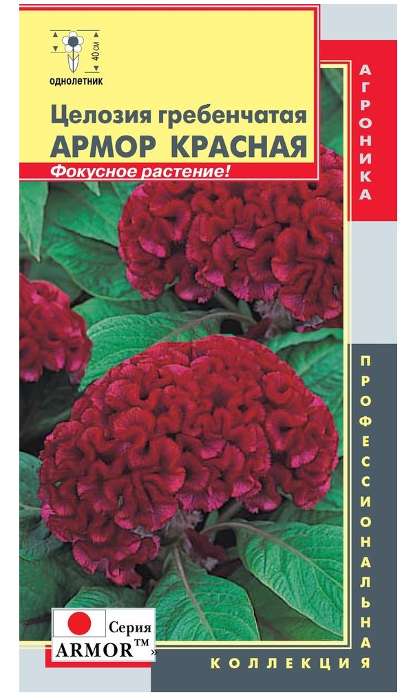 

Семена Целозия гребенчатая Армор Красная, 10 шт, Профессиональная коллекция Плазмас
