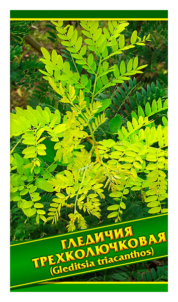

Семена Гледичия Трехколючковая, 1 г Симбиоз