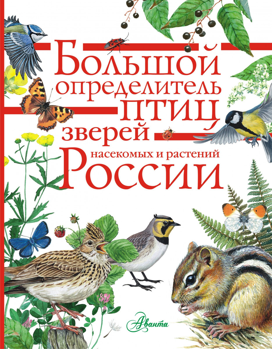 

Большой Определитель Зверей, Амфибий, Рептилий, птиц, насекомых и Растений России