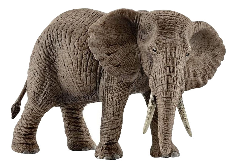 фото Фигурка животного schleich самка африканского слона