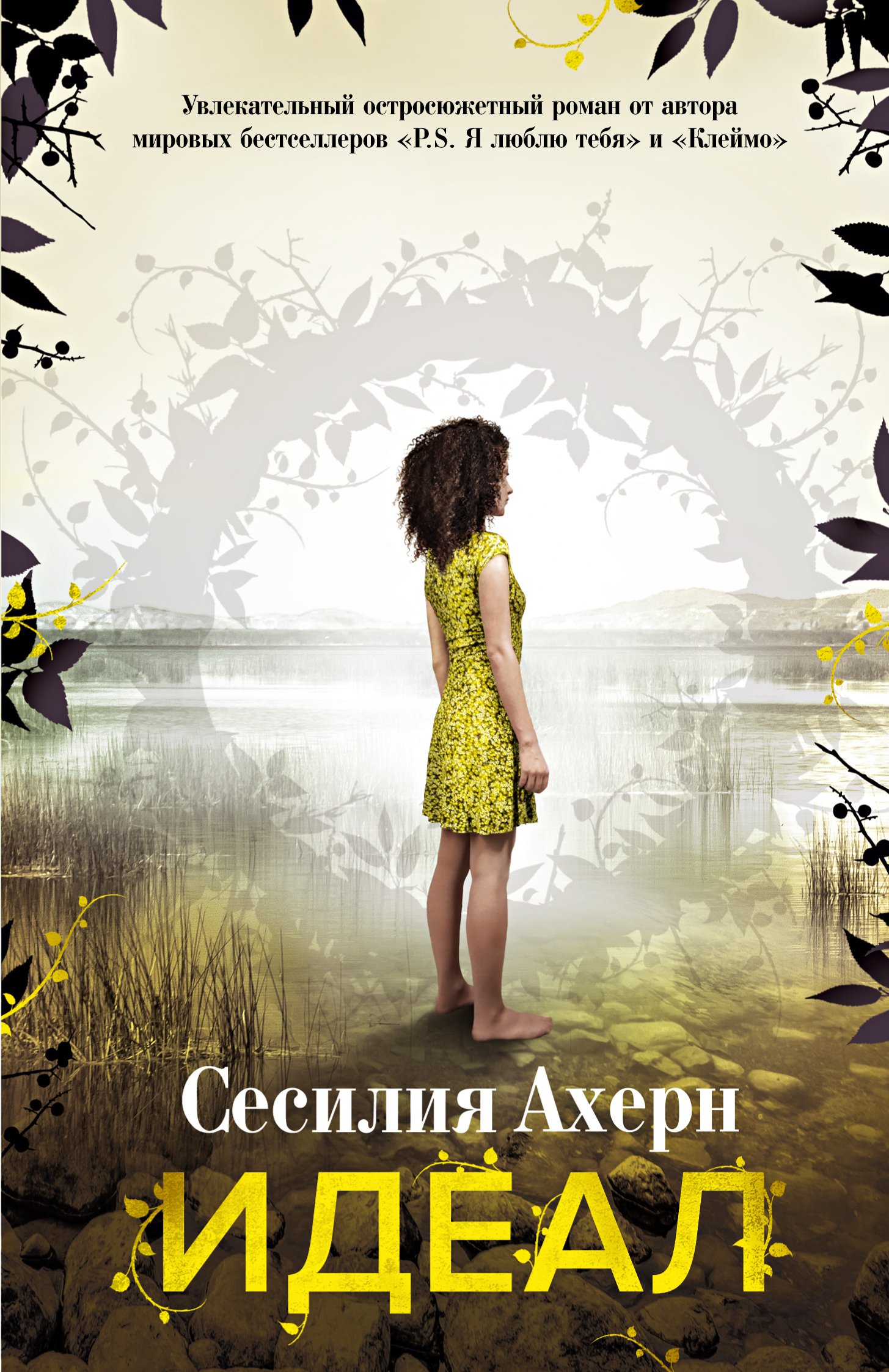 

Книга Идеал