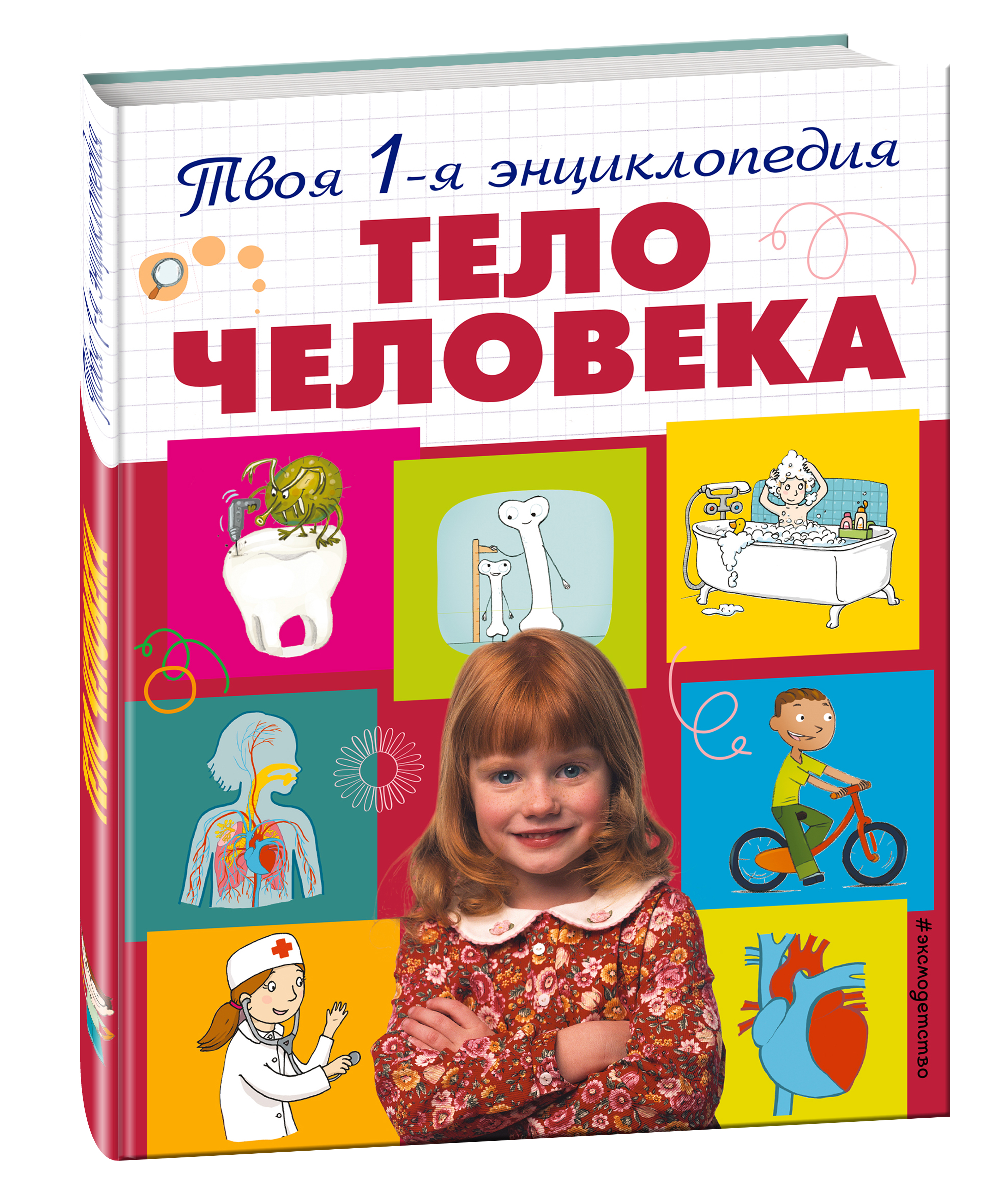 

Тело Человека