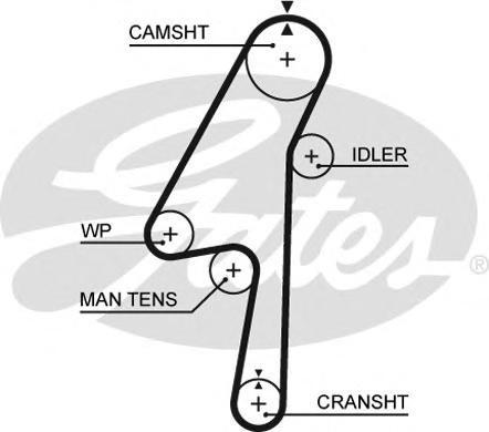 фото Ремень грм gates 5580xs