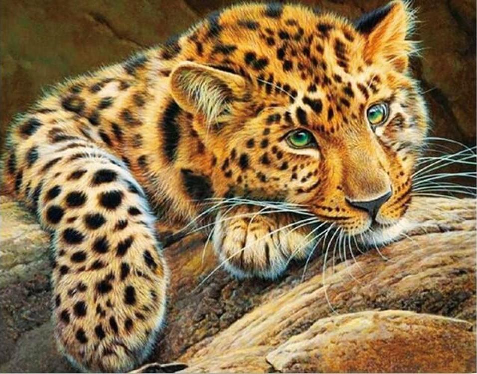 

Алмазная вышивка Цветной Африканский леопард 40x50 см, Африканский леопард