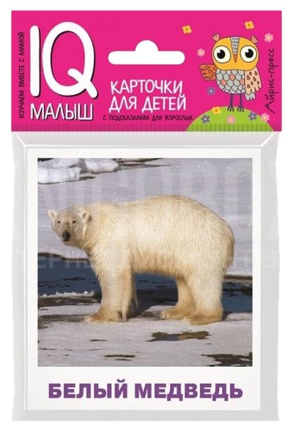 фото Набор карточек для детей айрис-пресс ходюшина н.п. iq-малыш животные полярных широт