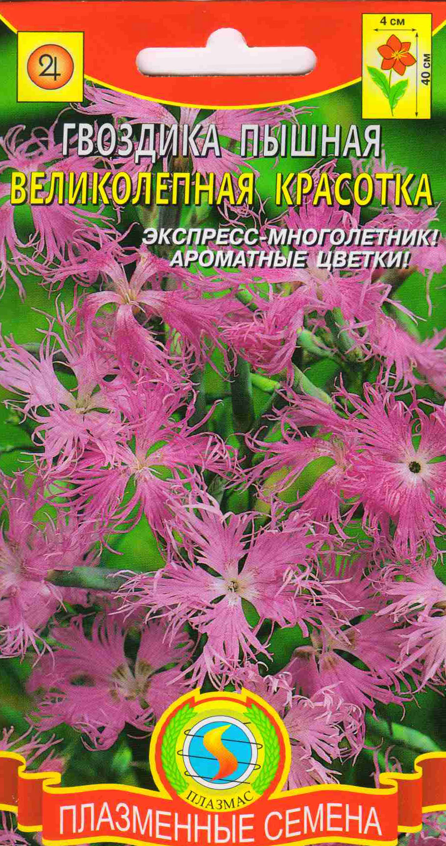 фото Семена гвоздика пышная великолепная красотка, 0,1 г плазмас