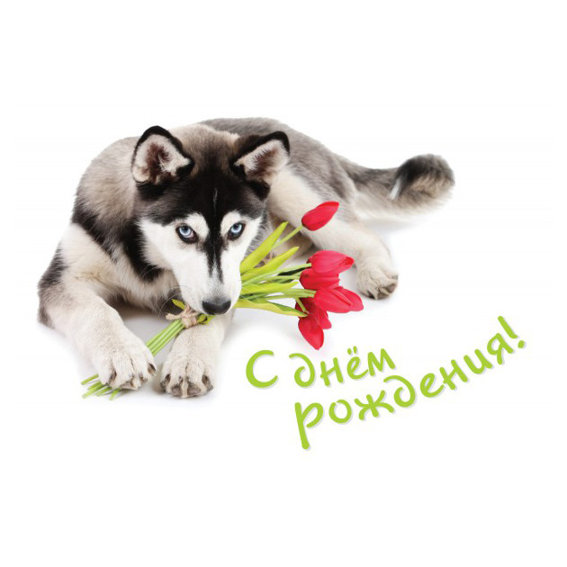 

Открытка ND Play День рождения сентиментальный №7 273814, Разноцветный, 273 814