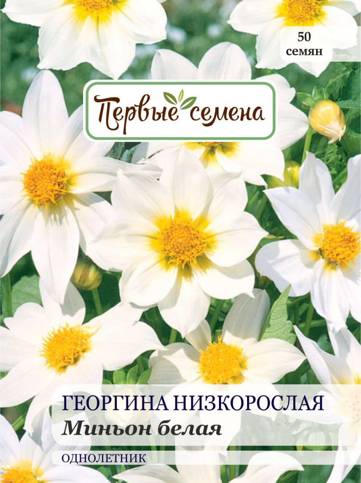 

Семена цветов Первые семена Георгина низкорослая Миньон белая, 0,4 г