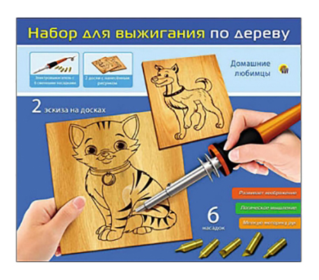

Набор для выжигания Рыжий кот Домашние любимцы, Домашние любимцы