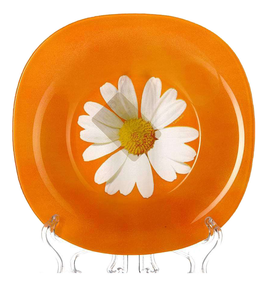 

Тарелка Luminarc Carine Paquerette Melon 22 см, carine Paquerette Melon 22 см