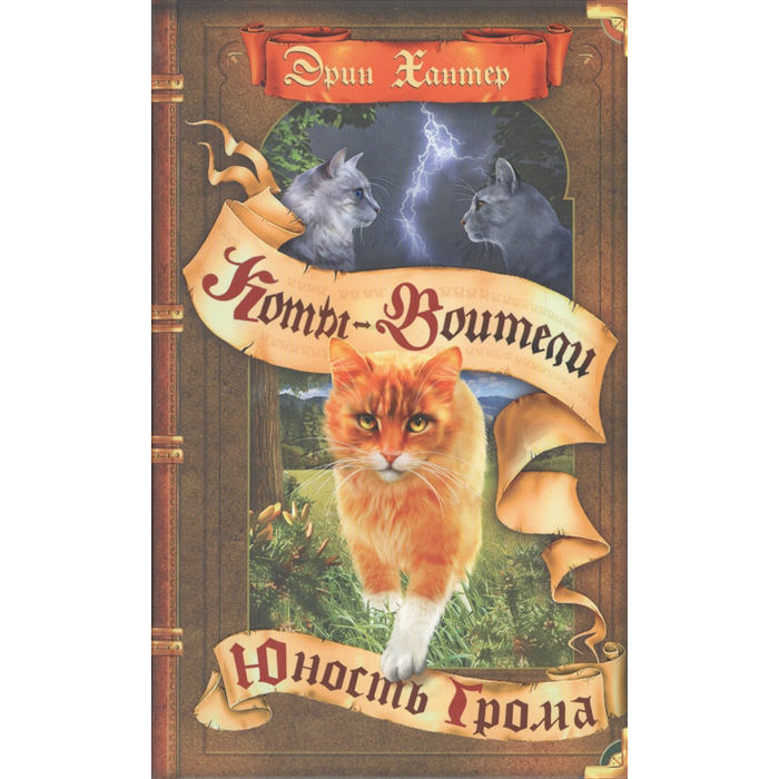 

Хантер. коты-Воител и Юность Грома.