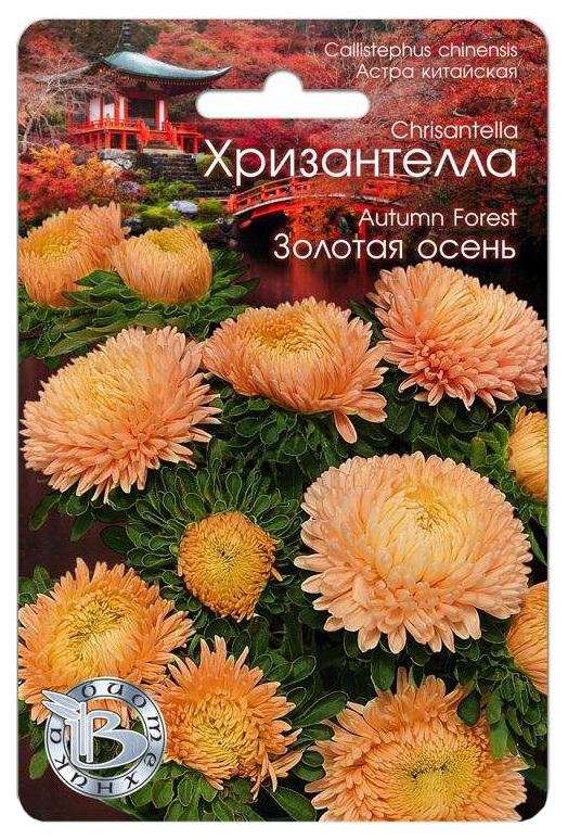 

Семена Астра китайская Хризантелла Золотая осень, 40 шт, Биотехника