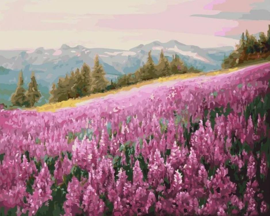 

Картина по номерам Цветной Розовое поле, 40x50 см, Розовое поле