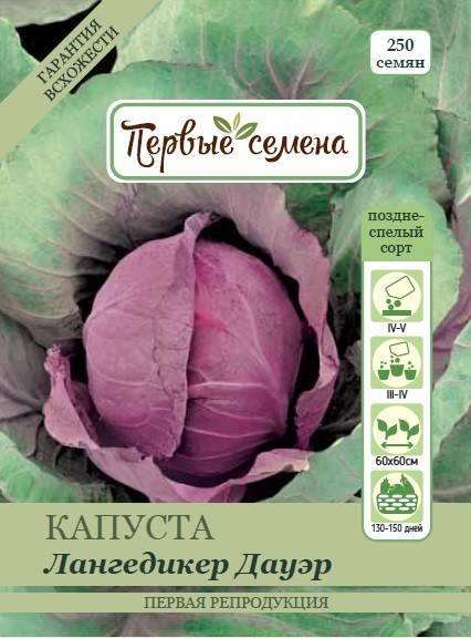 

Семена овощей Первые семена Капуста к/к Лангедикер Дауэр, 1 г