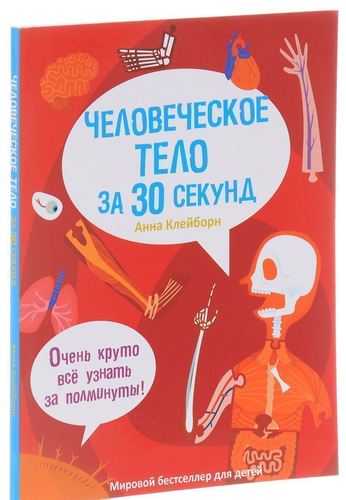 

Человеческое тело за 30 секунд
