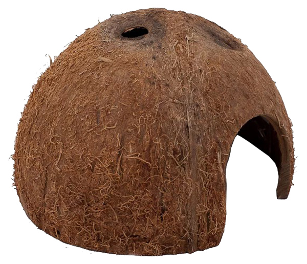 фото Пещера для террариума jbl cocos cava половинка кокоса m, 8х8х8 см