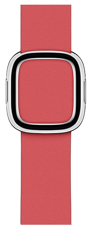 фото Ремешок для смарт-часов apple modern buckle band для apple watch 40 mm pink (mtqp2zm/a)