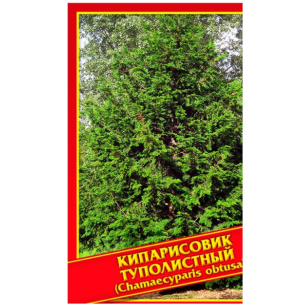 

Семена Кипарисовик Туполистный, 0,2 г Симбиоз