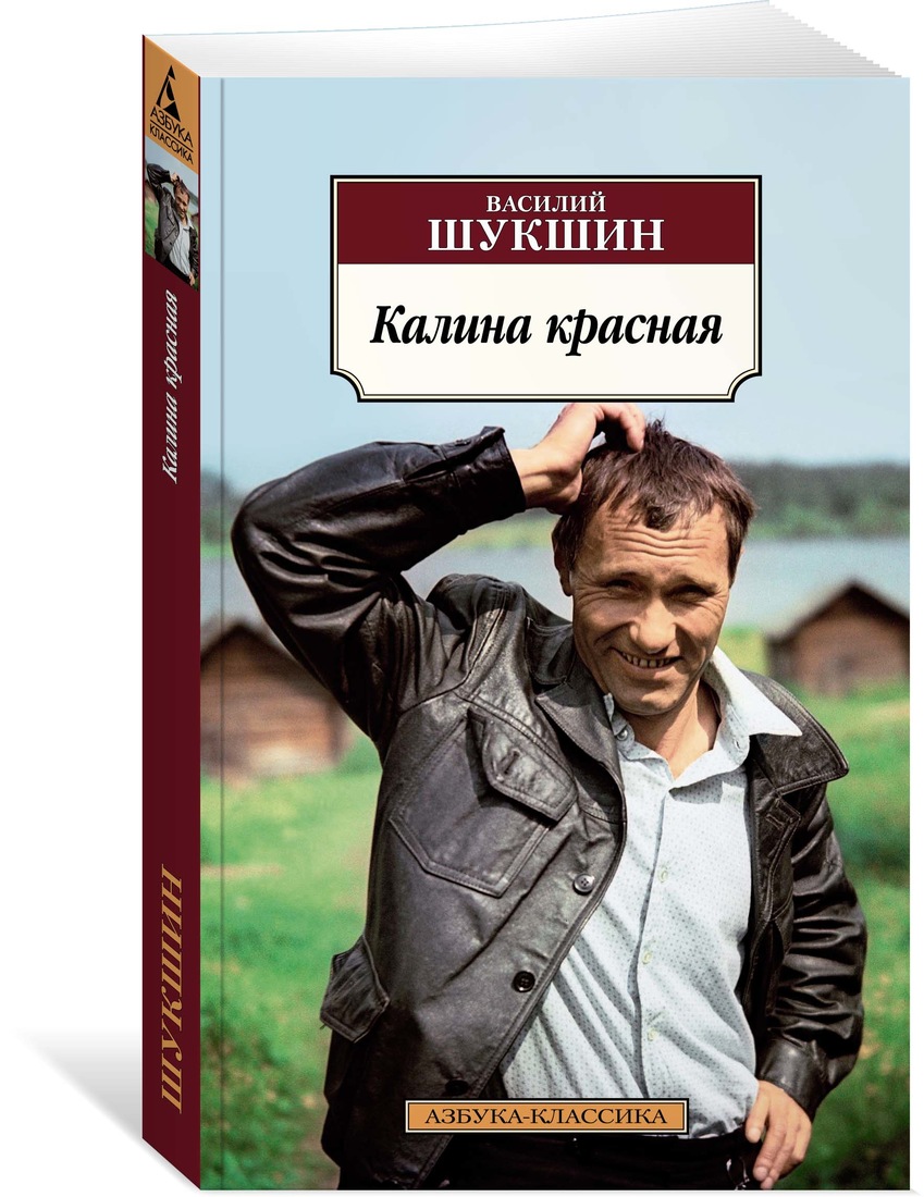 фото Книга калина красная: киноповести азбука