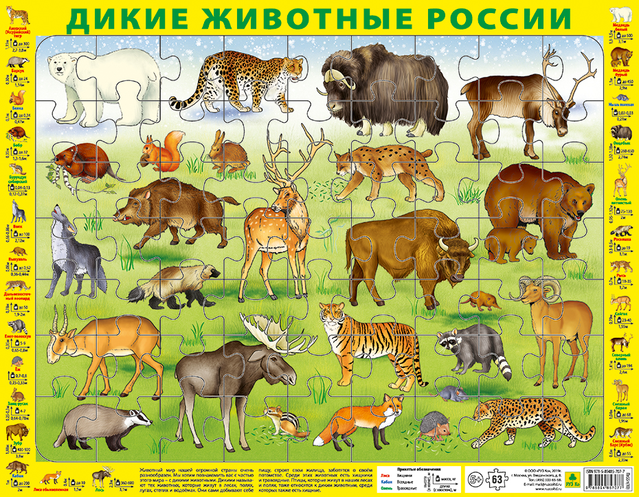 

Пазлы РУЗ Ко "ДИКИЕ ЖИВОТНЫЕ России". 36х28, 63 эл., П10