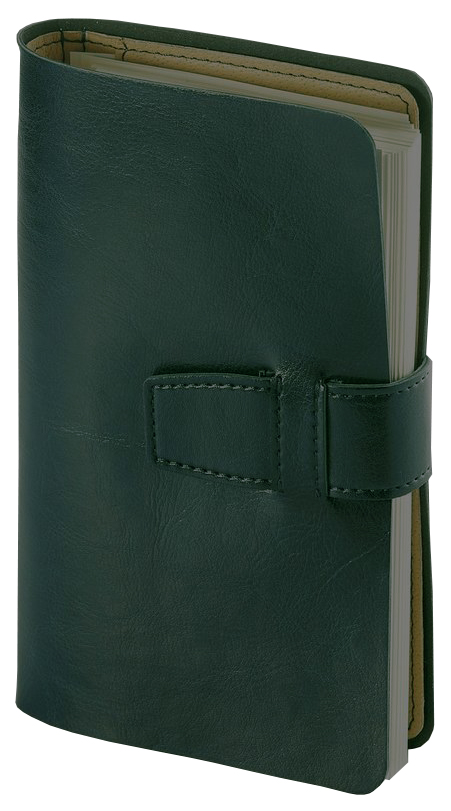 

Ежедневник Bruno Visconti 3410-03 Sienna недатированный A5
