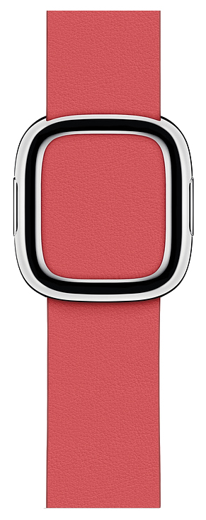 фото Ремешок для смарт-часов apple modern buckle band для apple watch 40 mm pink (mtqq2zm/a)