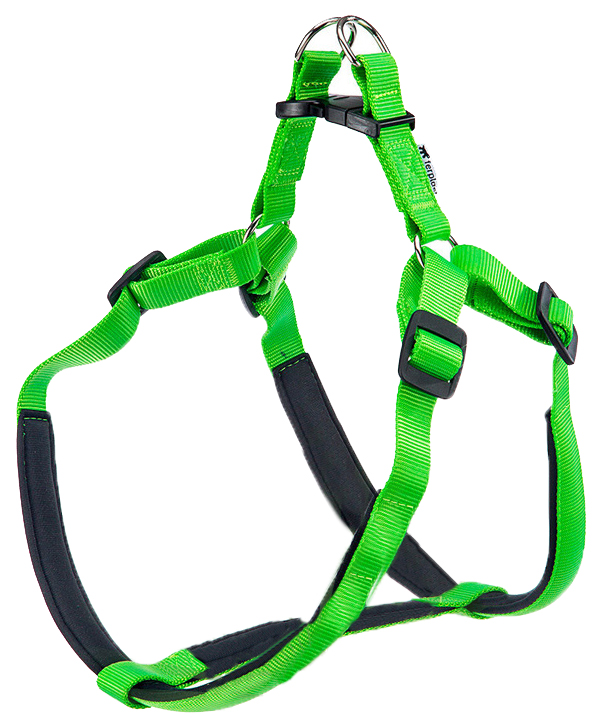 

Шлейка для собак Ferplast Daytona (Large, Зеленый), Daytona