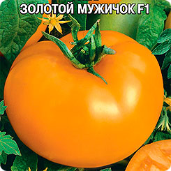 

Семена Томат Золотой мужичок F1, 0,05 г, Premium seeds, 218126