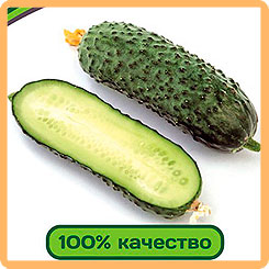 

Семена Огурец Фуро F1, 5 шт, Partner, 211512