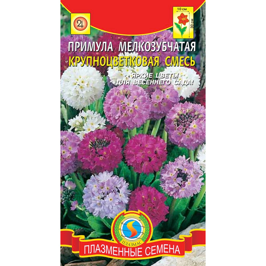 

Семена Примула мелкозубчатая Крупноцветковая, Смесь, 0,01 г Плазмас