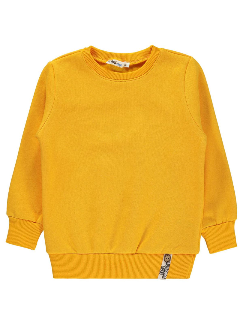 

Свитшот Civil Boys 19330E455K21-1 оранжевый 24-36 мес (доставка из-за рубежа), 19330E455K21-1