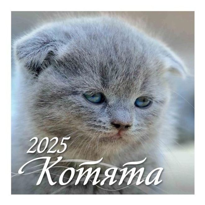 

Календарь настенный перекидной Котята на 2025 год