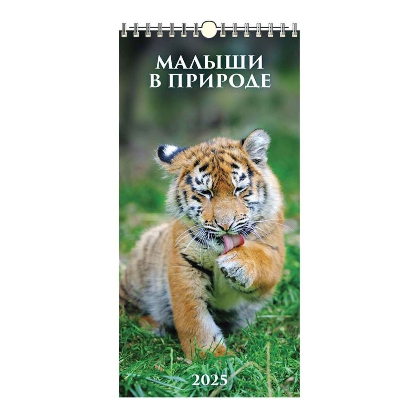 

Календарь настенный перекидной Малыши в природе на 2025 год