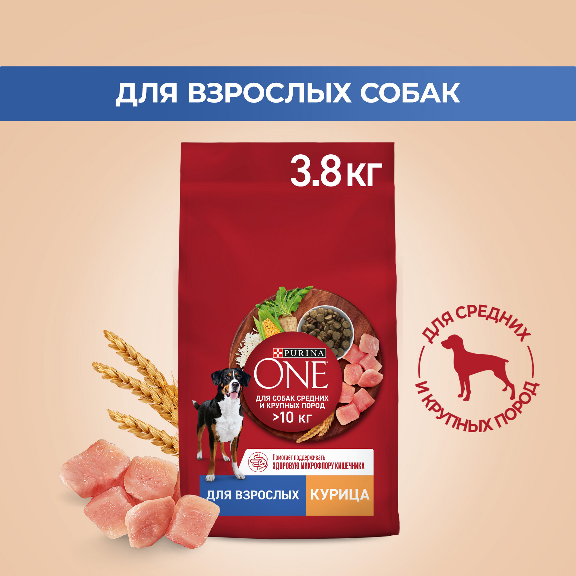 Сухой корм для собак Purina ONE для средних и крупных пород с курицей и рисом, 3,8 кг