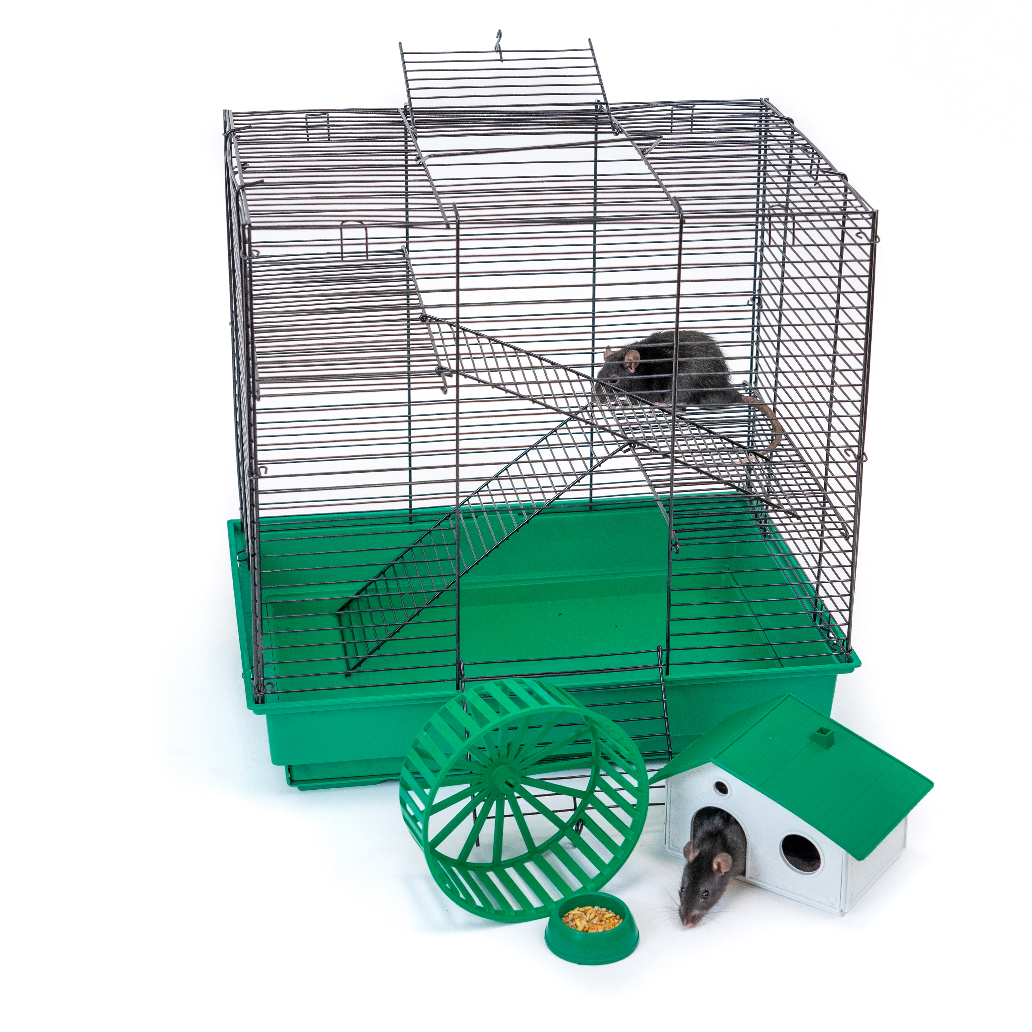 

Клетка для грызунов PetTails, шаг прута 10,5мм, 42х30х45см, колесо, миска, изумрудная, Зеленый, 4033