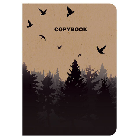 

Тетрадь B5 60л, FOREST, BRAUBERG, 403807