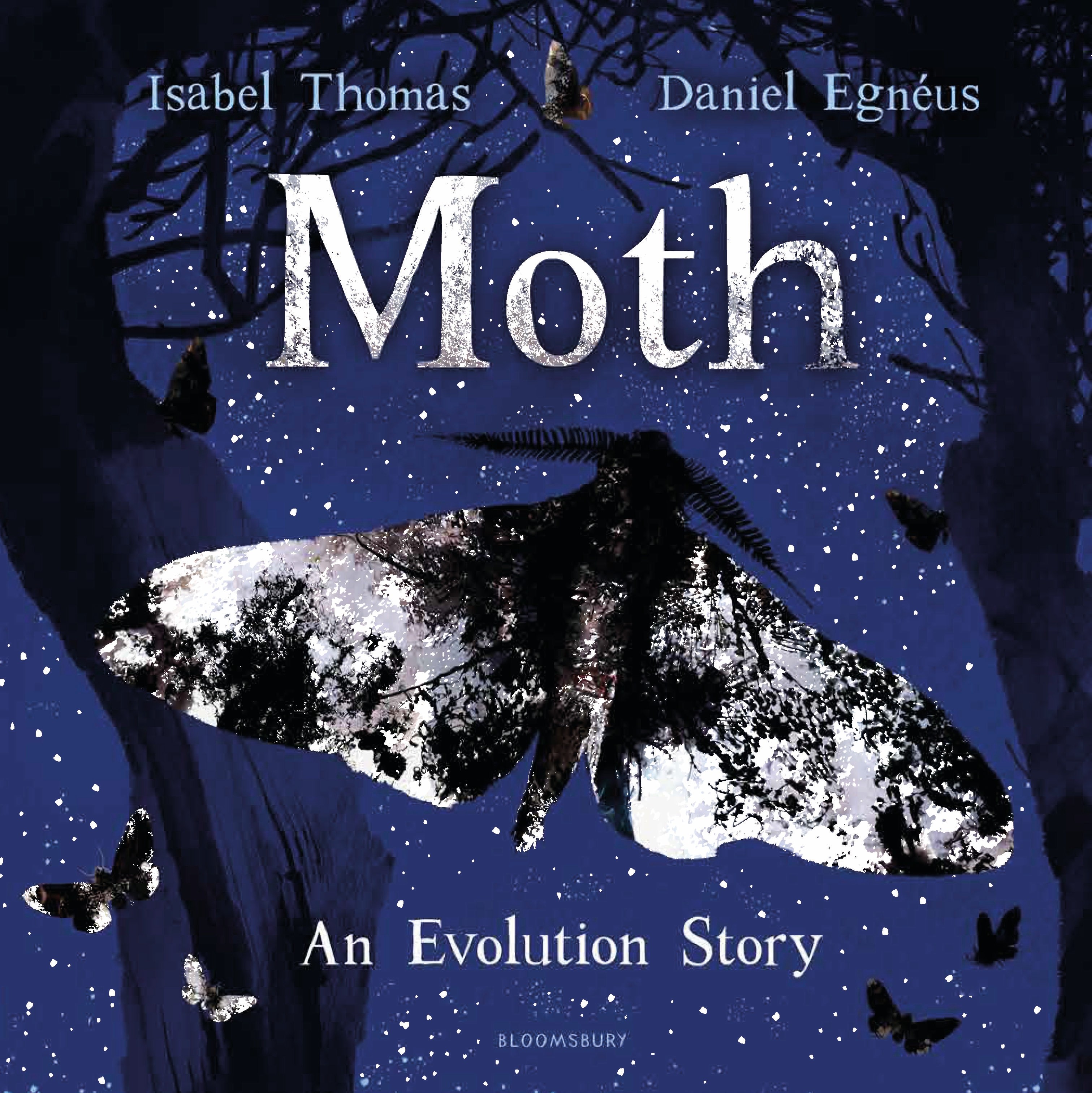 

Moth An Evolution Story