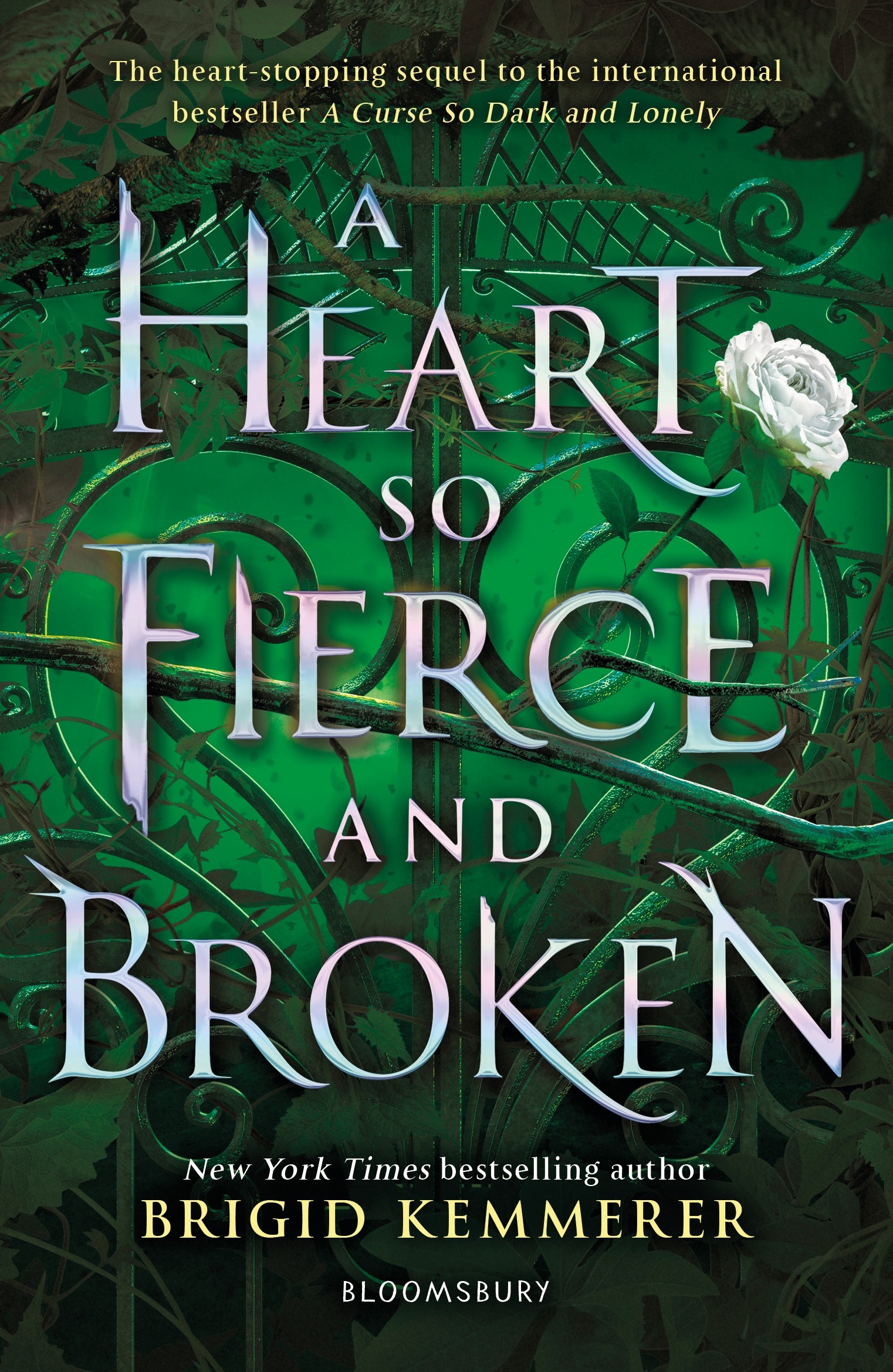 

A Heart So Fierce and Broken