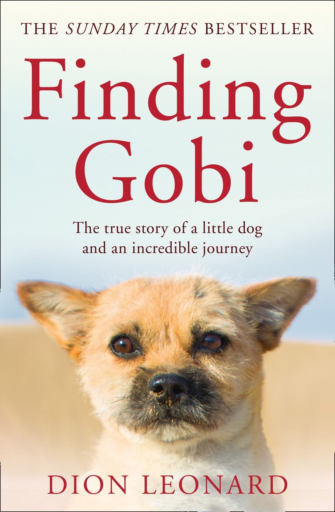 

Finding Gobi The True Story of a Little Dog and an Incredible Journey